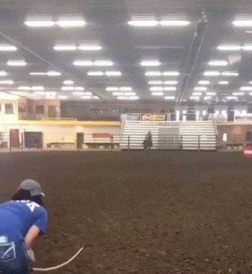 这是啥运动项目？