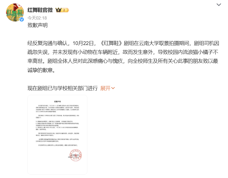 红舞鞋剧组回应撞猫事件红舞鞋致歉声明 近日，网上曝红舞鞋剧组开快车撞死猫，引发热