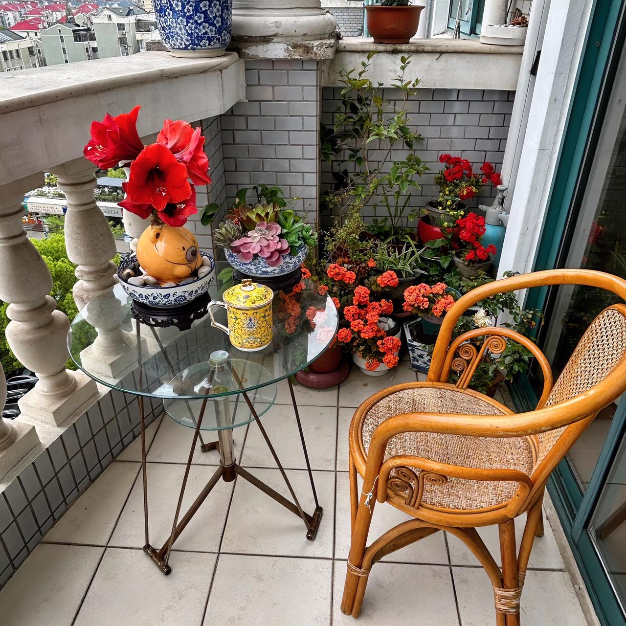 晒晒你家阳台上的绿植咱家小小阳台的一角也栽培了几株绿植，小花小草小树，给我带来了