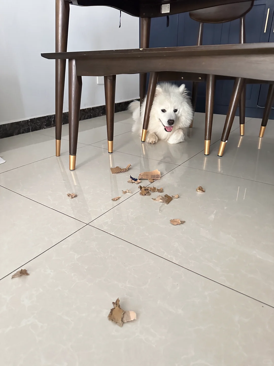 嘻嘻，妈沫儿看我厉害吧