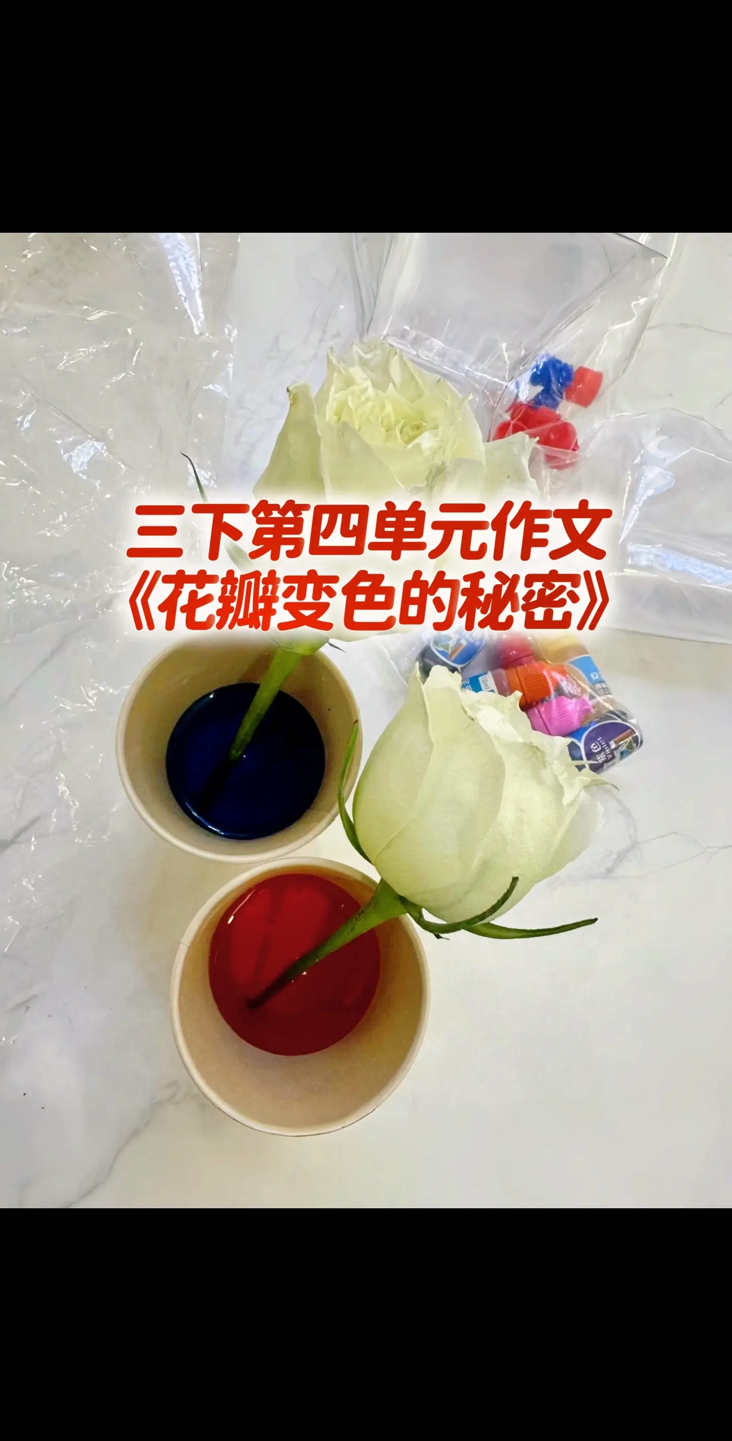 宝妈们，你家的宝贝作文怎么样？是不是提起作文就头疼～，今天把小学三年级下册第四单元作文《花瓣变色的秘密》，送给孩子，练一练，背背，多做仿写，作文成绩班级领跑不成问题～～～！