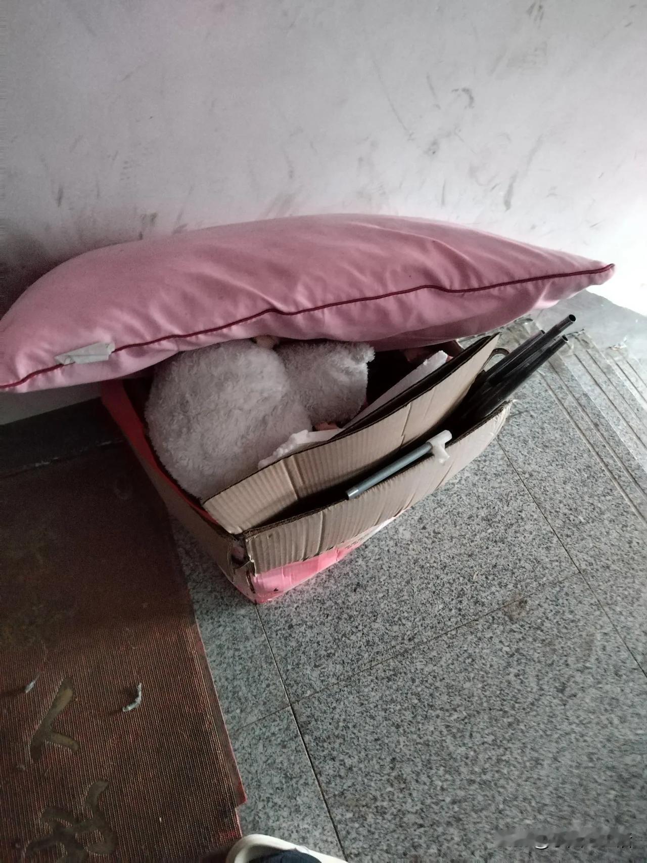 不知道我招谁惹谁了？扔个垃圾都不行。上午在家收拾了一下阳台，觉得无论如何得把那几