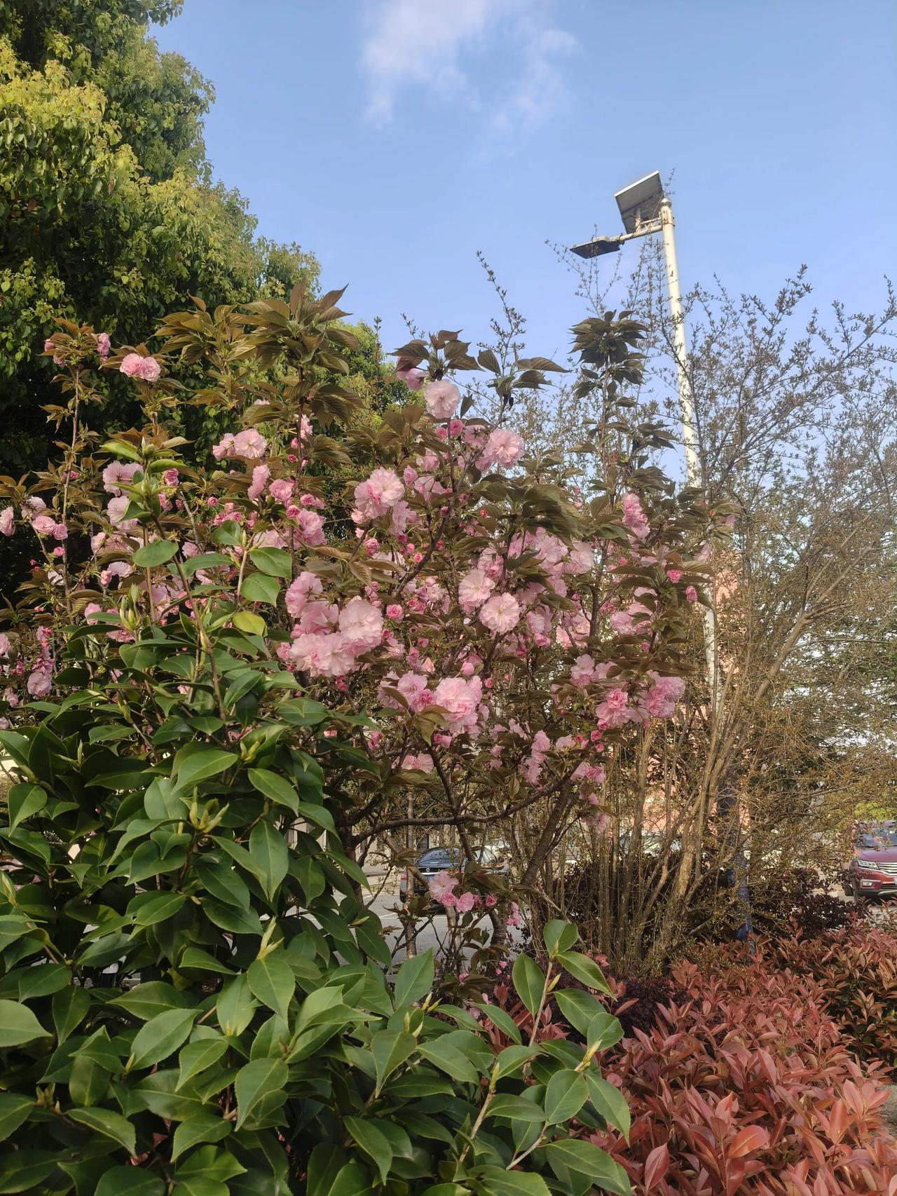 早安！
起床困难户请集合～
别赖床啦，
太阳都晒到屁股咯，
再不起早餐就要被抢光