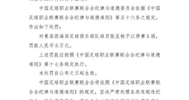 中足联罚单：张呈栋辱骂裁判 停赛五场罚款五万
