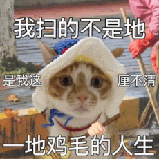 热门小猫表情包：谢谢你 小被窝 更新不易，拿图点赞[心]更多表情包请看主页[心]