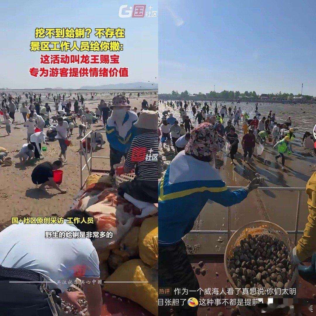 一觉醒来，赶海人集体沉默了!万万没想到，山东日照竟还有这样别出心裁的赶海方式，真