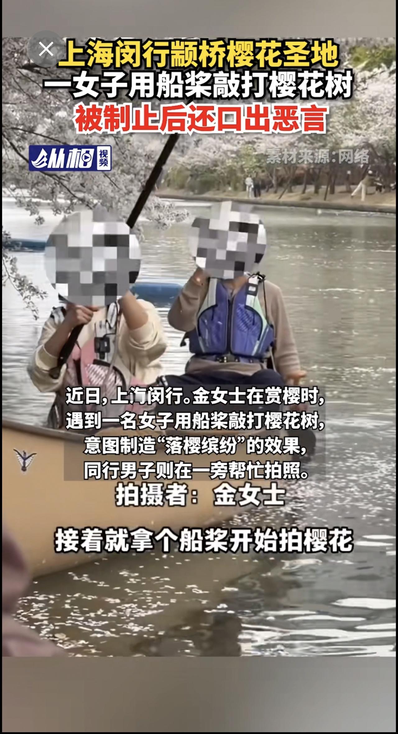 【上海闵行颛桥樱花圣地，一女子用船桨敲打樱花树，被制止后还口出恶言】
据羊城晚报