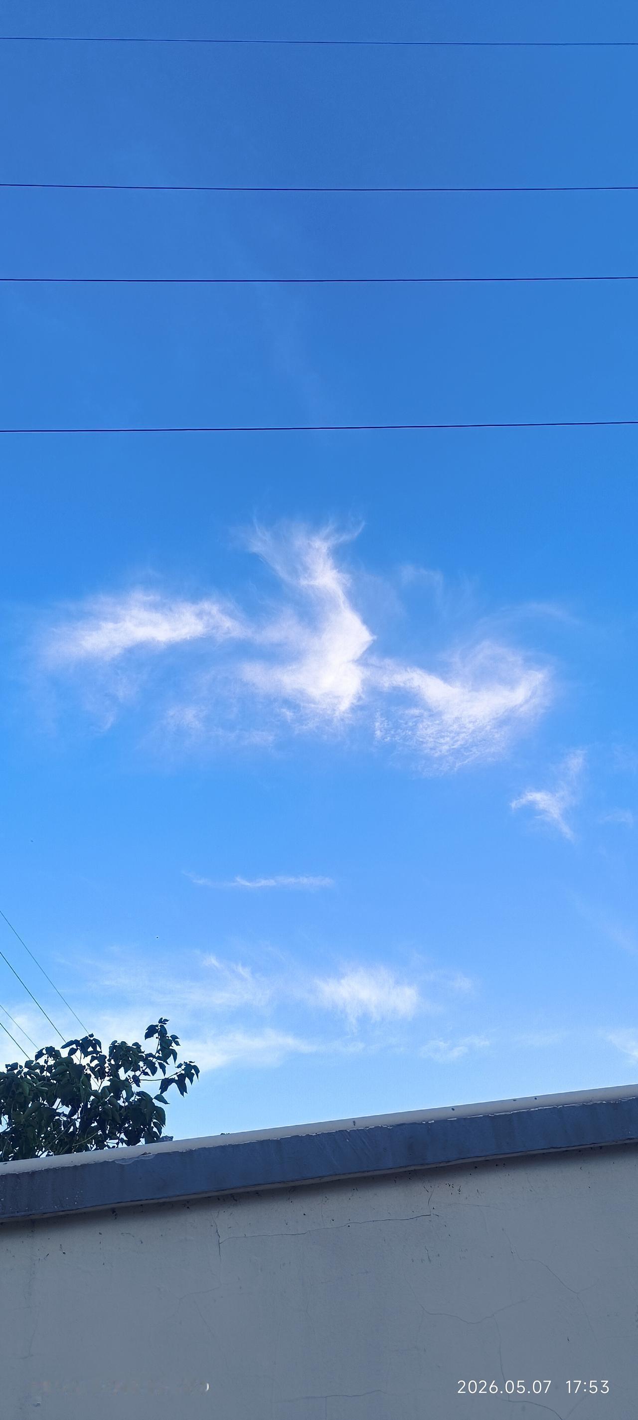 凤凰展翅