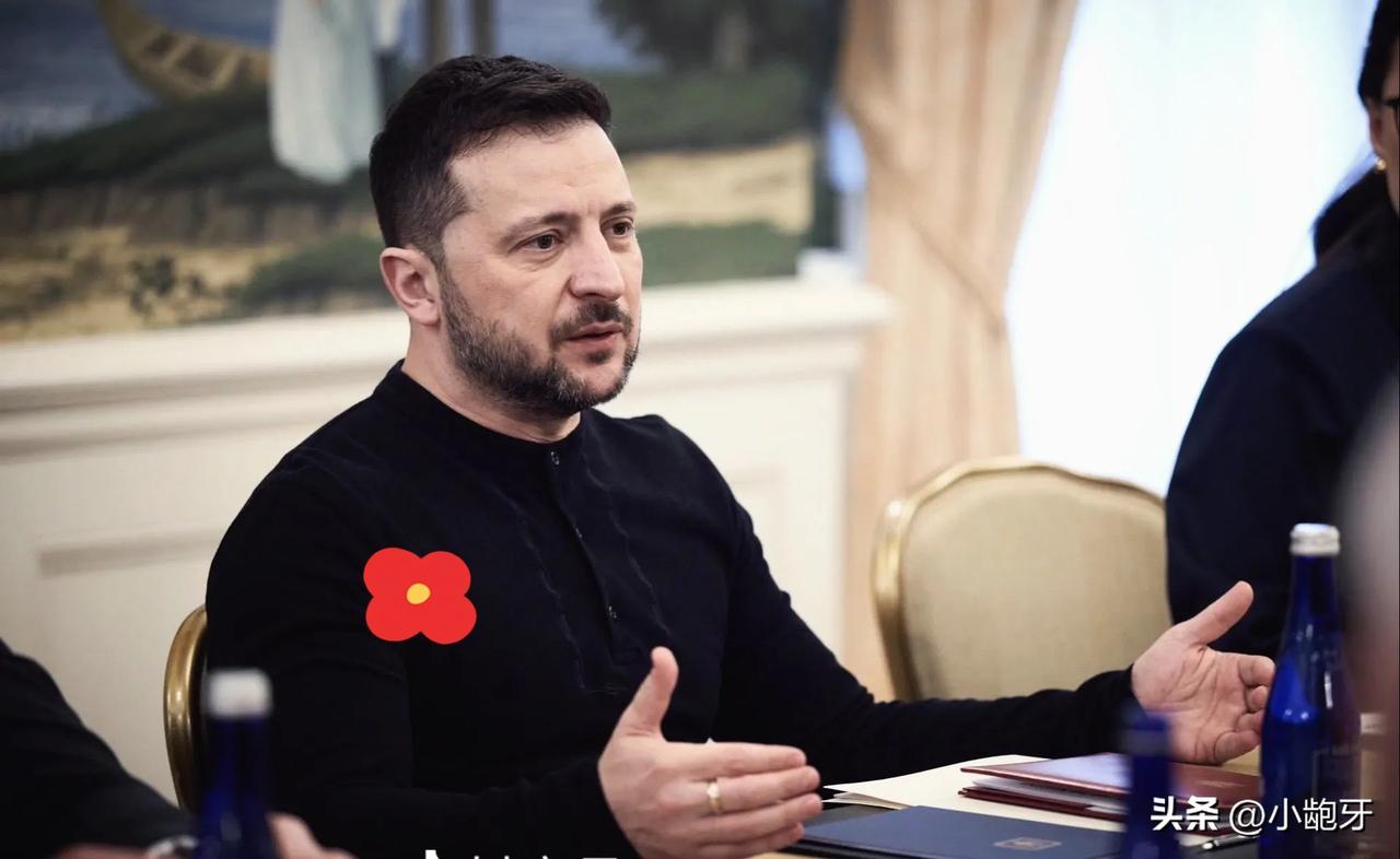 乌克兰总统泽连斯基宣布：
2026年3月20日，乌克兰总统泽连斯基表示：乌克兰和