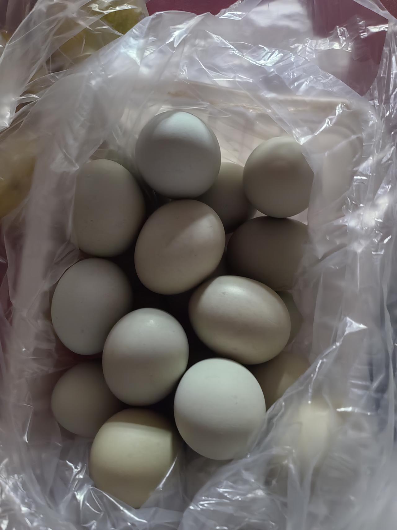 买鸡蛋遭遇看人下菜碟，这事儿真的太膈应人了。

今天去常光顾的蛋铺买鸡蛋，老板说
