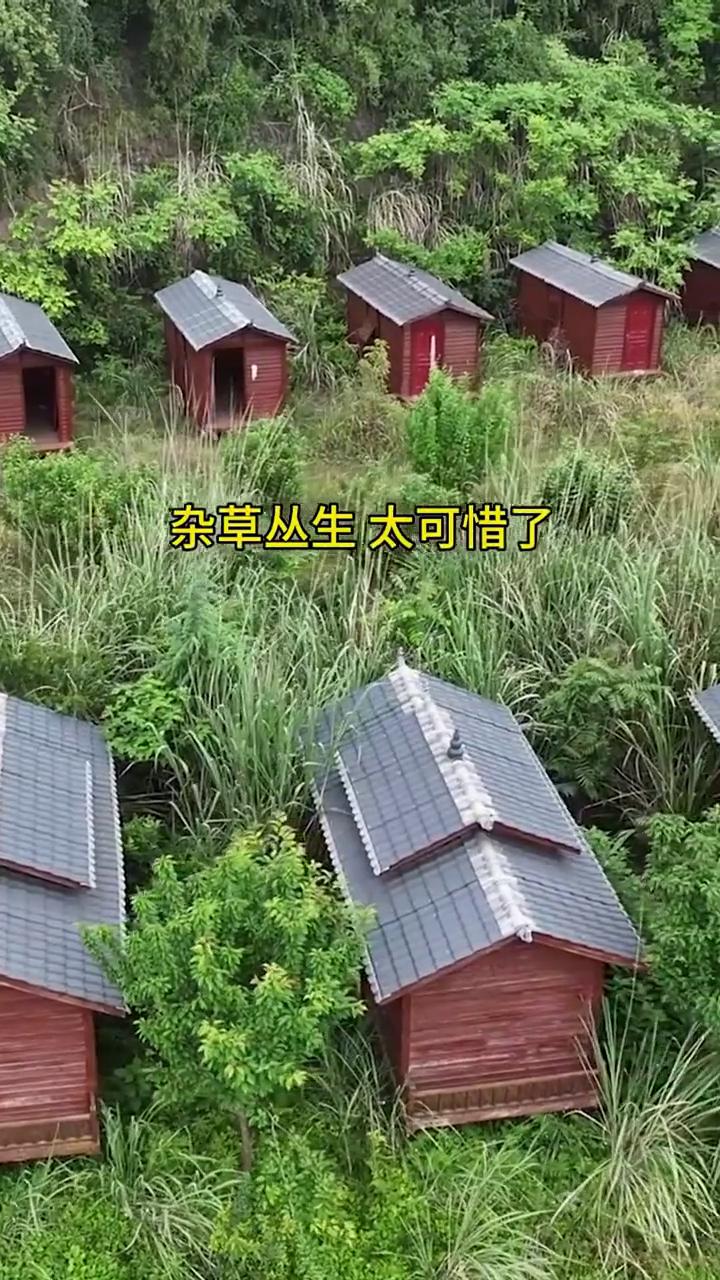 给3万一个月都不住，杂草丛生太可惜了。这里到底发生了什么？