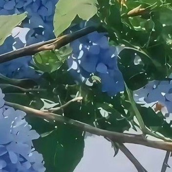 每日一善 阳光信用每日一善 