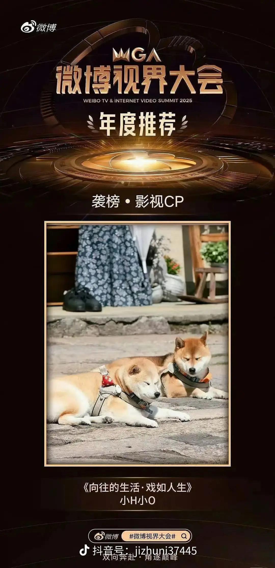 我求求了 影视cp给了狗狗 ​​​