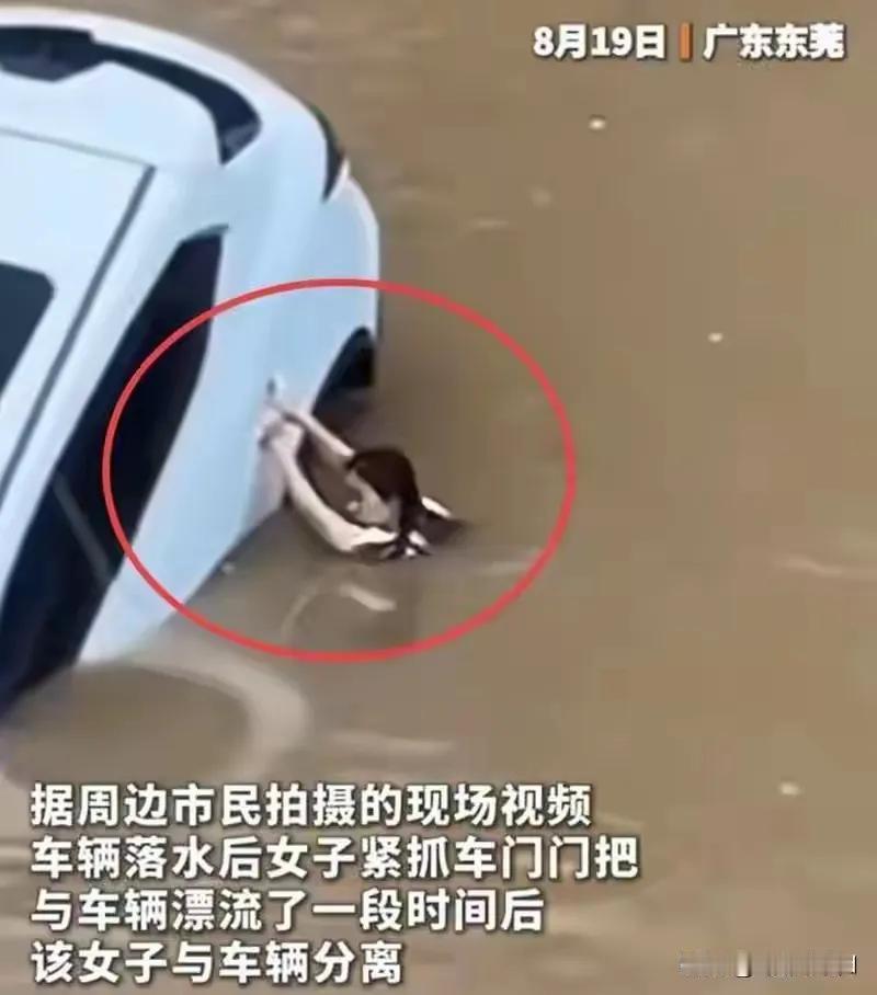 如果没人帮忙，一定记得要自救！！
东莞38岁女司机因为操作失误，连人带车冲进河里
