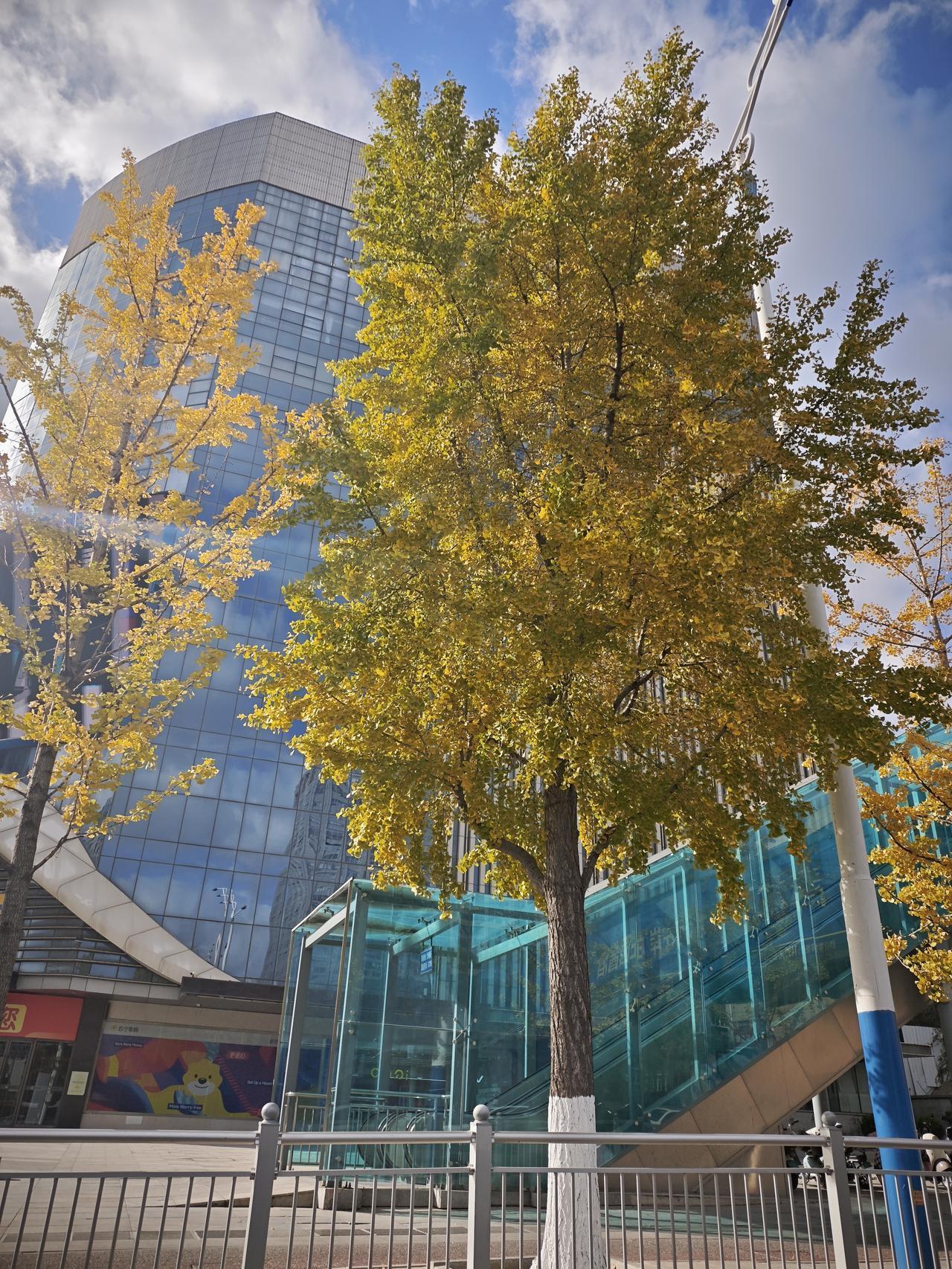 真是贫穷限制了我的想象，这年头就是撑死胆大的，饿死胆小的。[捂脸]
上周五老公说