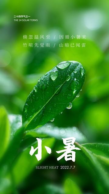 2026年小暑：白天热难当，晚上凉满床！老天爷给你装了个夜间空调

紫金山天文台
