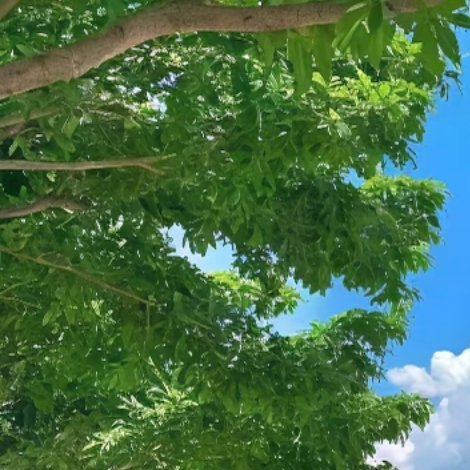 0000人生一日或闻一善言，见一善行，行一善事，此日方不虚生。译文：人活着一天，