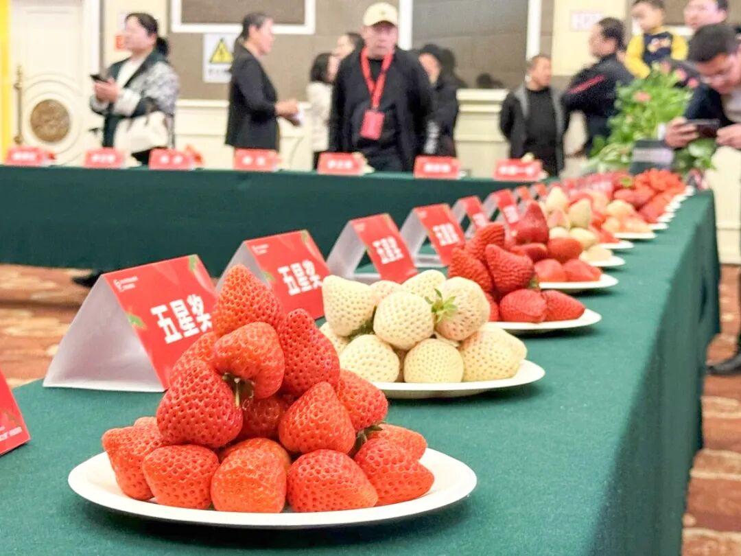 晒图笔记大赛3月28日，青岛市西海岸新区大场镇第十一届草莓节即将热闹启幕！本届草