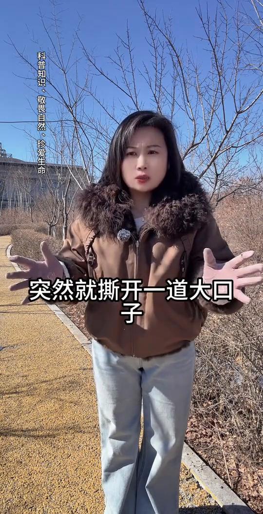 地震中那些活不见人死不见尸的失踪者到底去了哪儿？
请问：地震中那些活不见人死不见