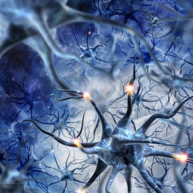 记住：真正高明的是人的身心结构，而非在这个结构里不断生灭的信息。———《半山文集