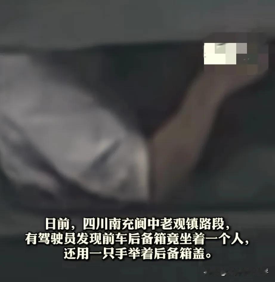 1、活猪放后备箱
2、人在后备箱。

这两件事单独拎出来一件都非常炸裂，车主是如