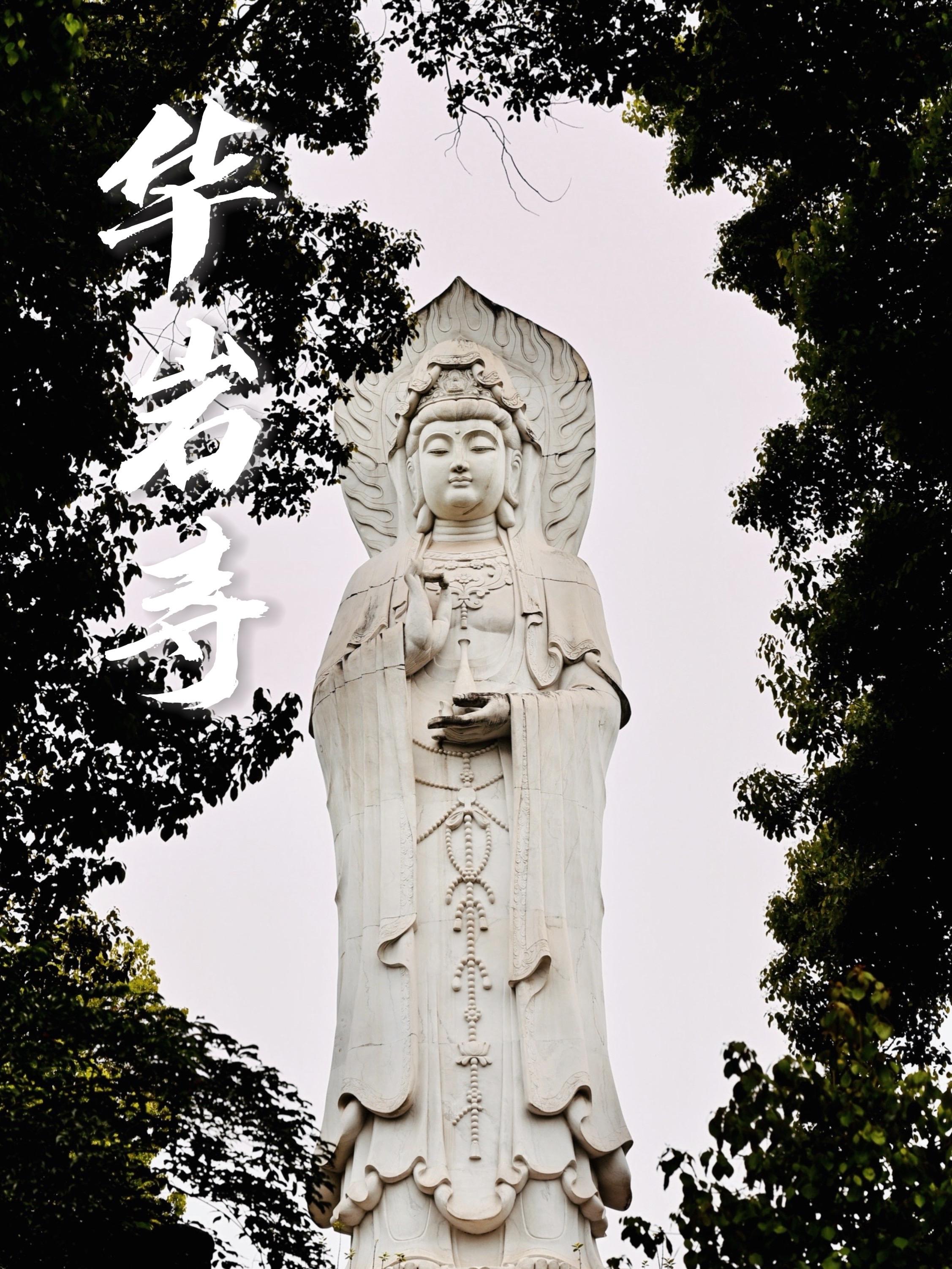 华岩寺踏春的一天✍️