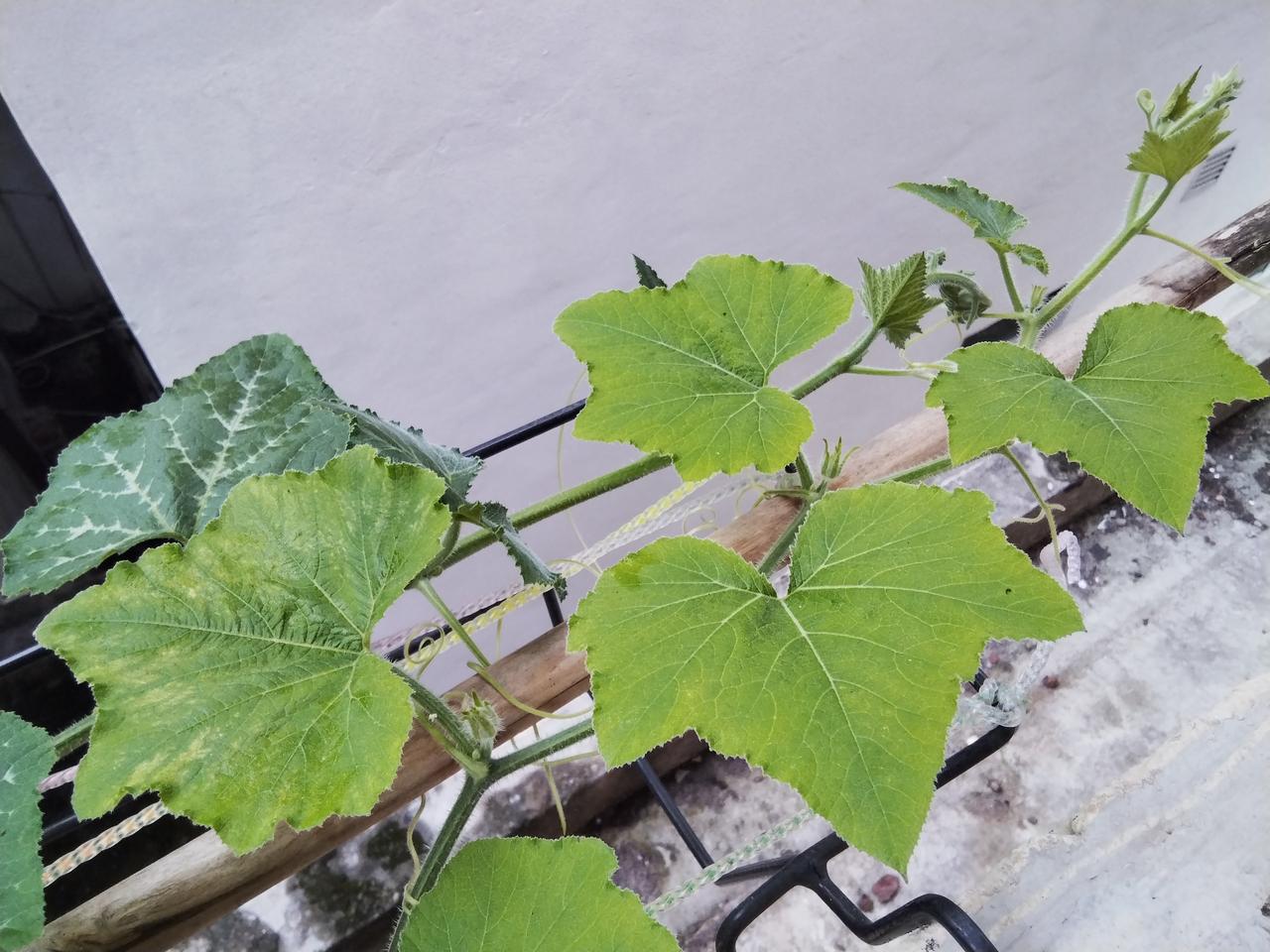 48岁的我，还在租房子住，而且租的是老破旧的那种房子，在外人看来我过得很苦，可我