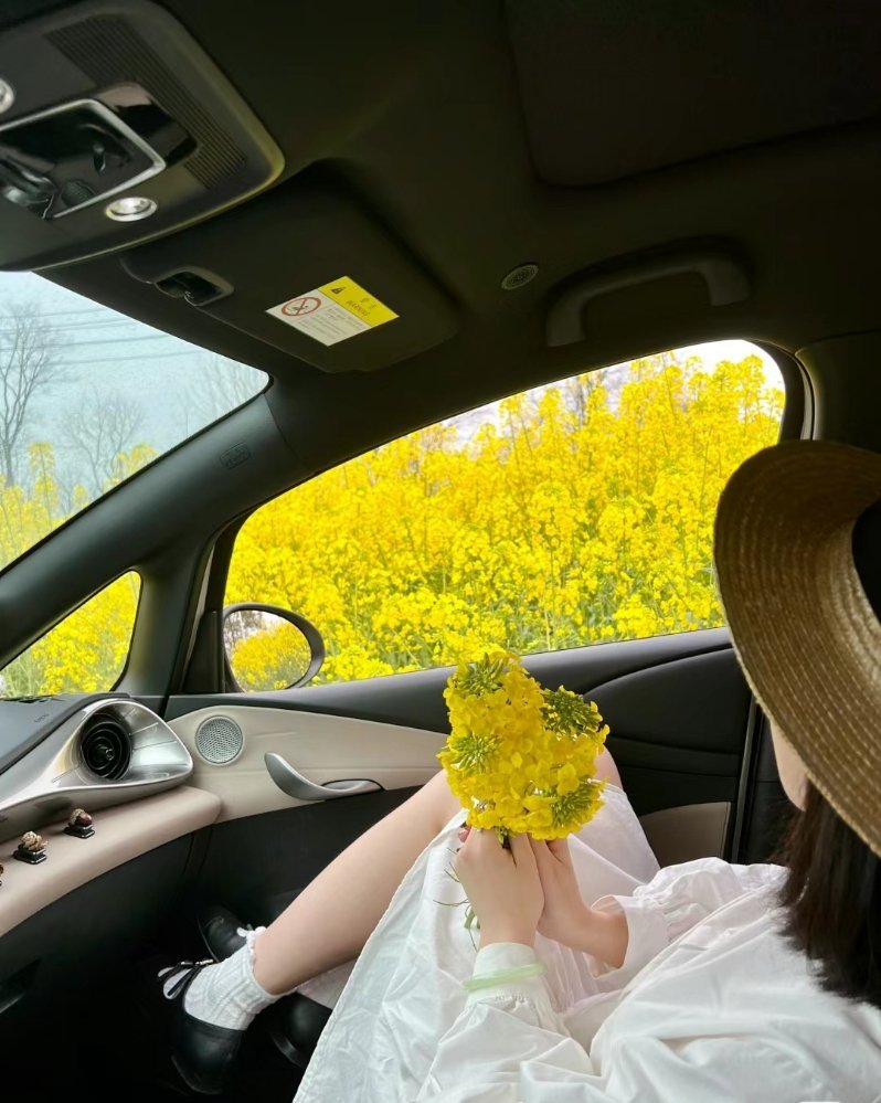习惯了任何人的忽冷忽热 看淡了任何人的渐行渐远 . ​​​