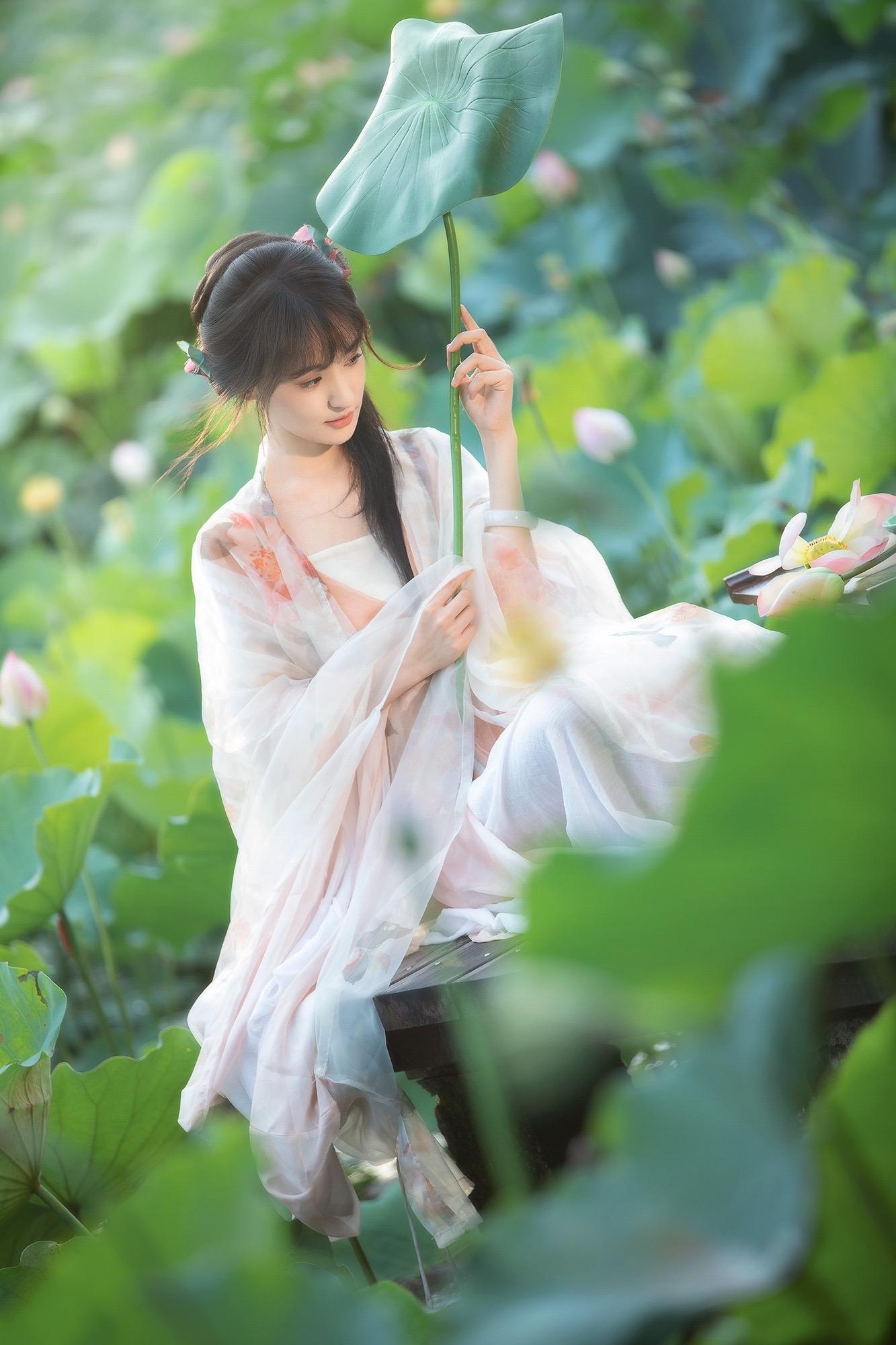 误入藕花深处～