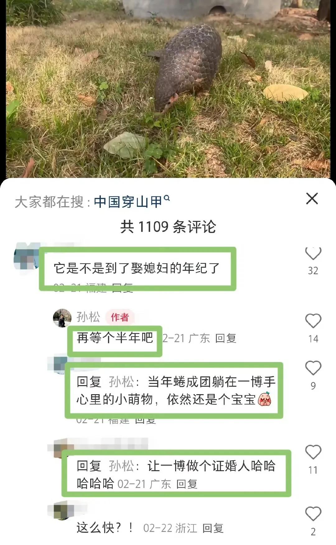 王一博亲手抱过的那只小小的穿山甲原来真的叫“王一甲”[捂脸]并且，居然已经开始被