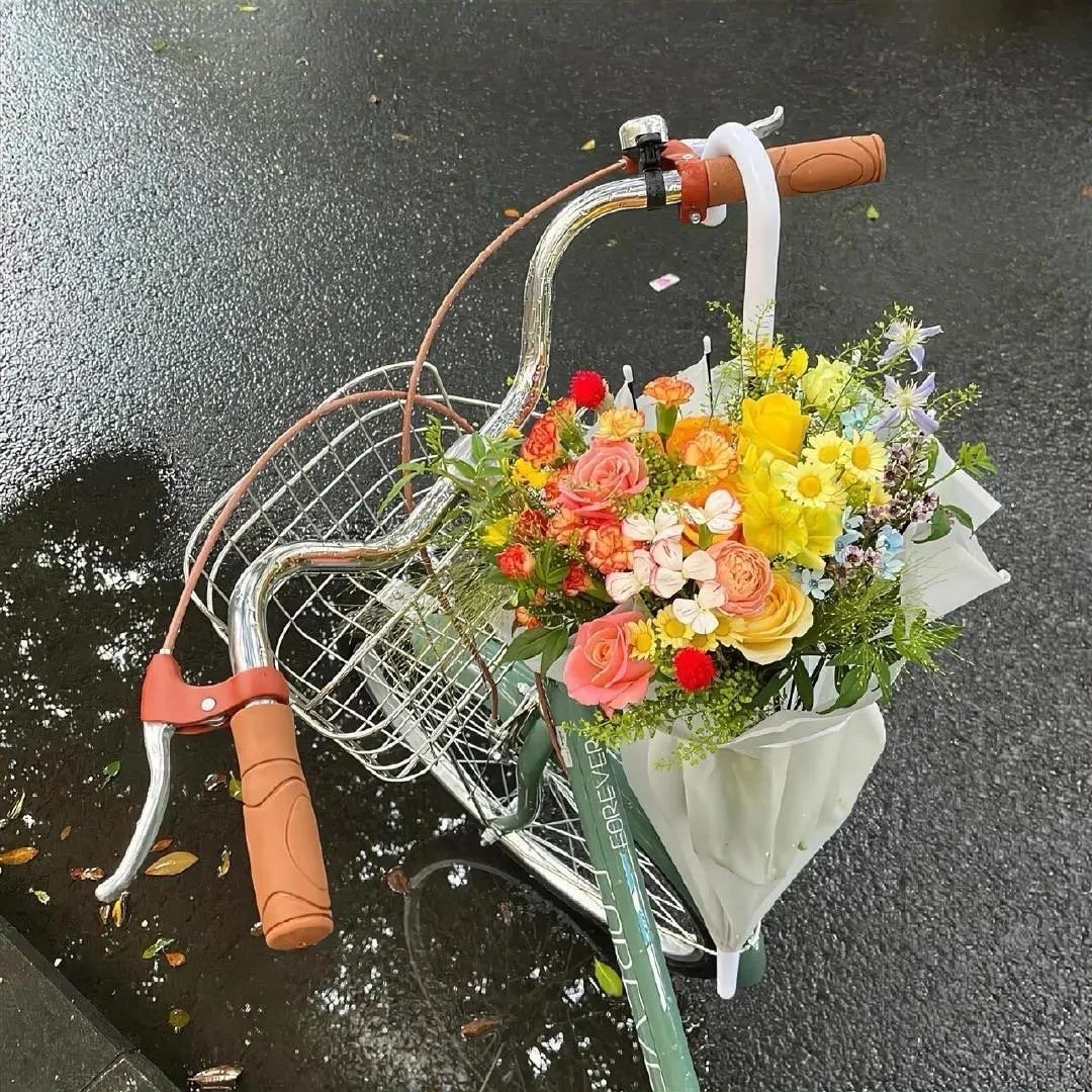🎋 “生活，其实和天气一样，有晴，又阴，有风，偶尔下点雨。”๑´0`๑🔆 ​