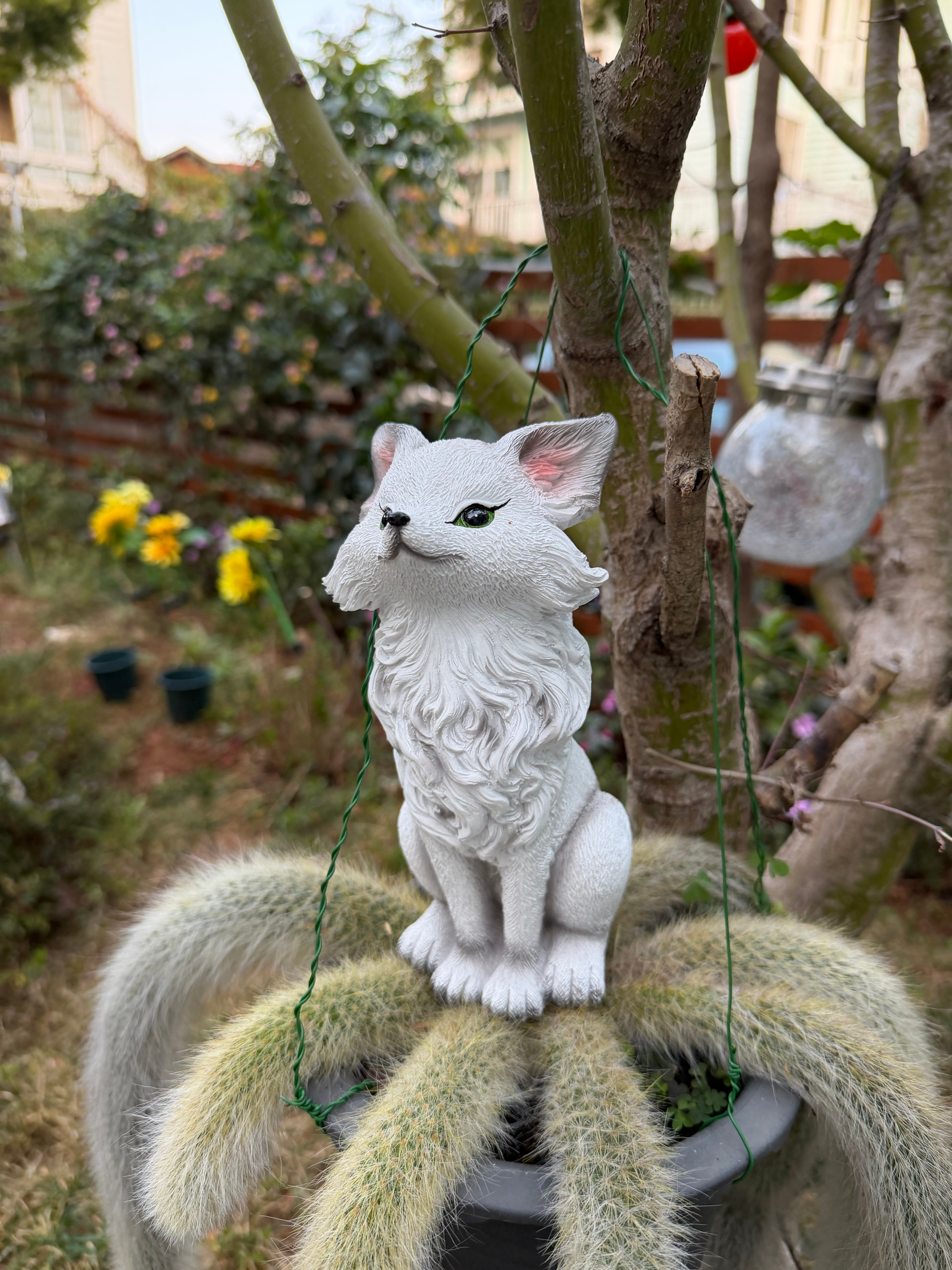 吓出表情包 昆明·海埂大坝