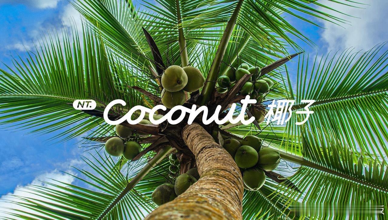 乐道L60的“NT. Coconut”智能系统科技含金量为什么领先特斯拉一代？今