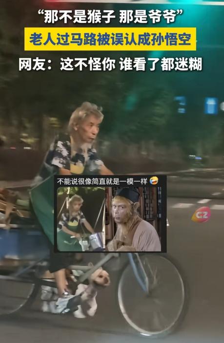 笑不活了！上海，一女子晚上开车，不料在一斑马线处遇到一位老人骑车过马路，但第一眼