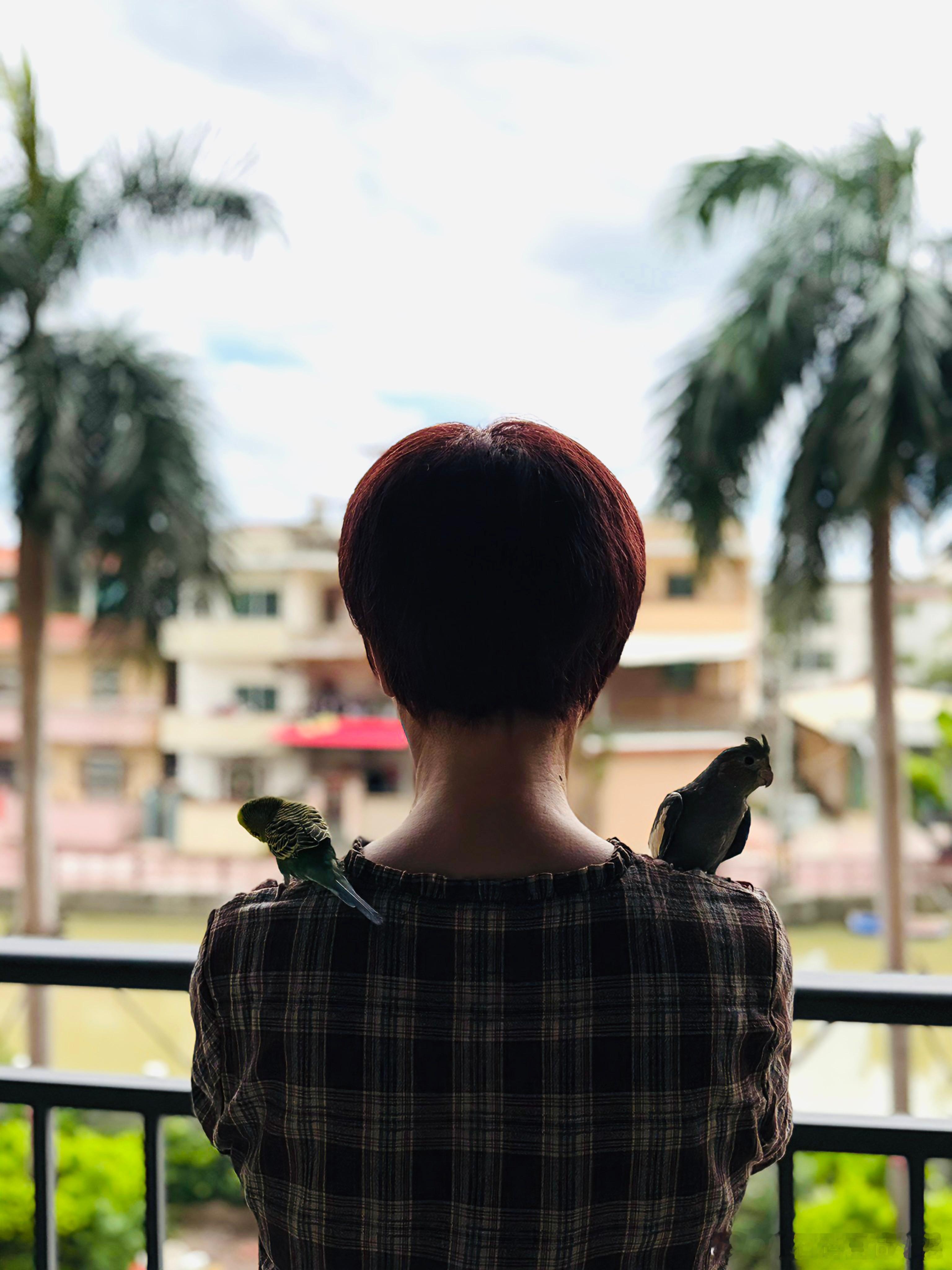 小朋友很会拍照呢 