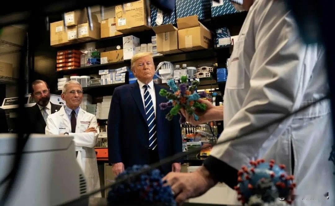特朗普终于要对美国的科研界动手了，不仅解雇了大批科学家，还直接叫停了15项总值4