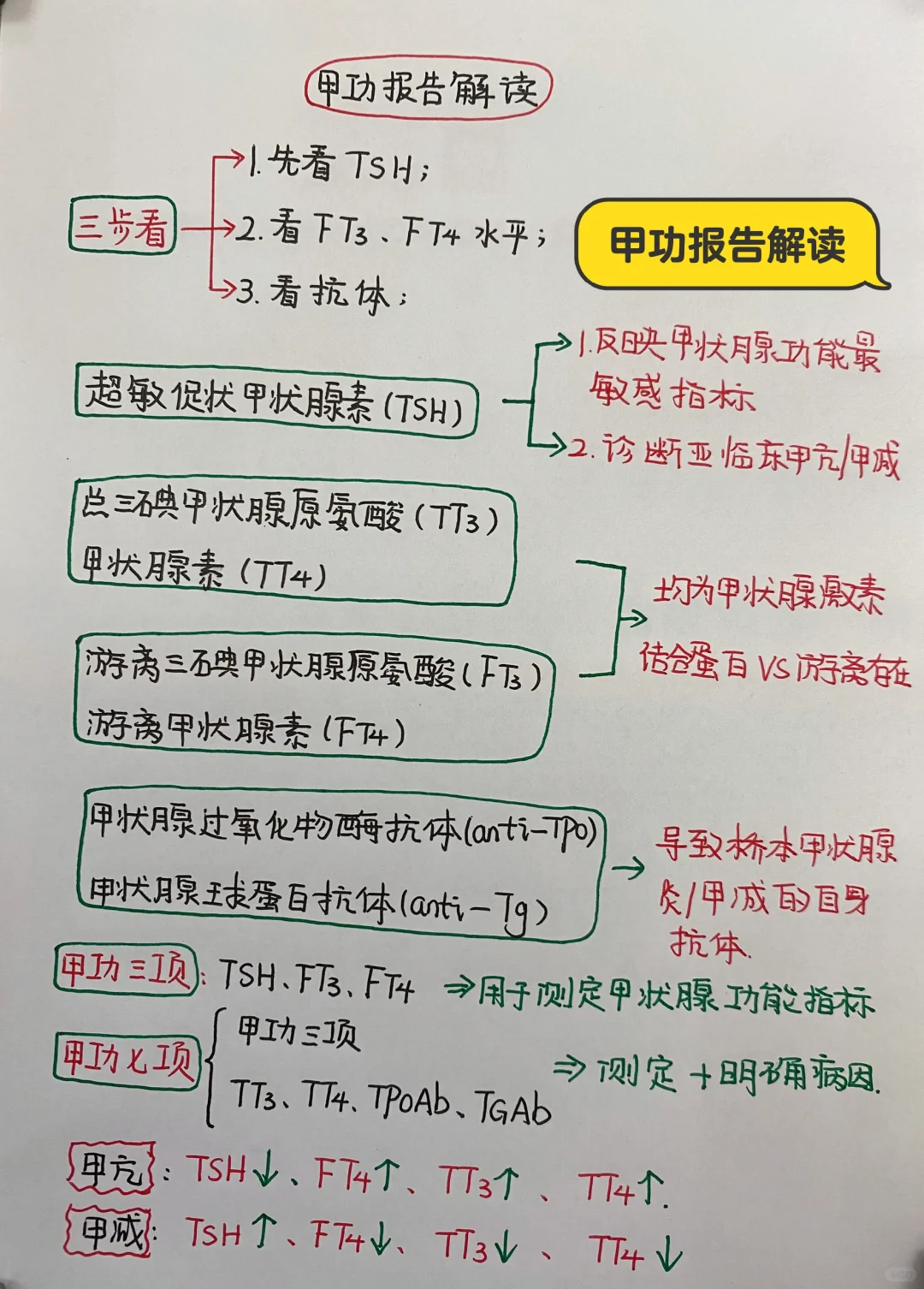 今日学习打卡——甲功报告的解读