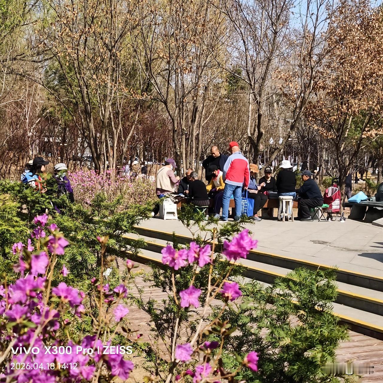 长春德苑公园，是有百年历史的老公园，长春人叫（小南湖），
老年人围坐在小广场的大