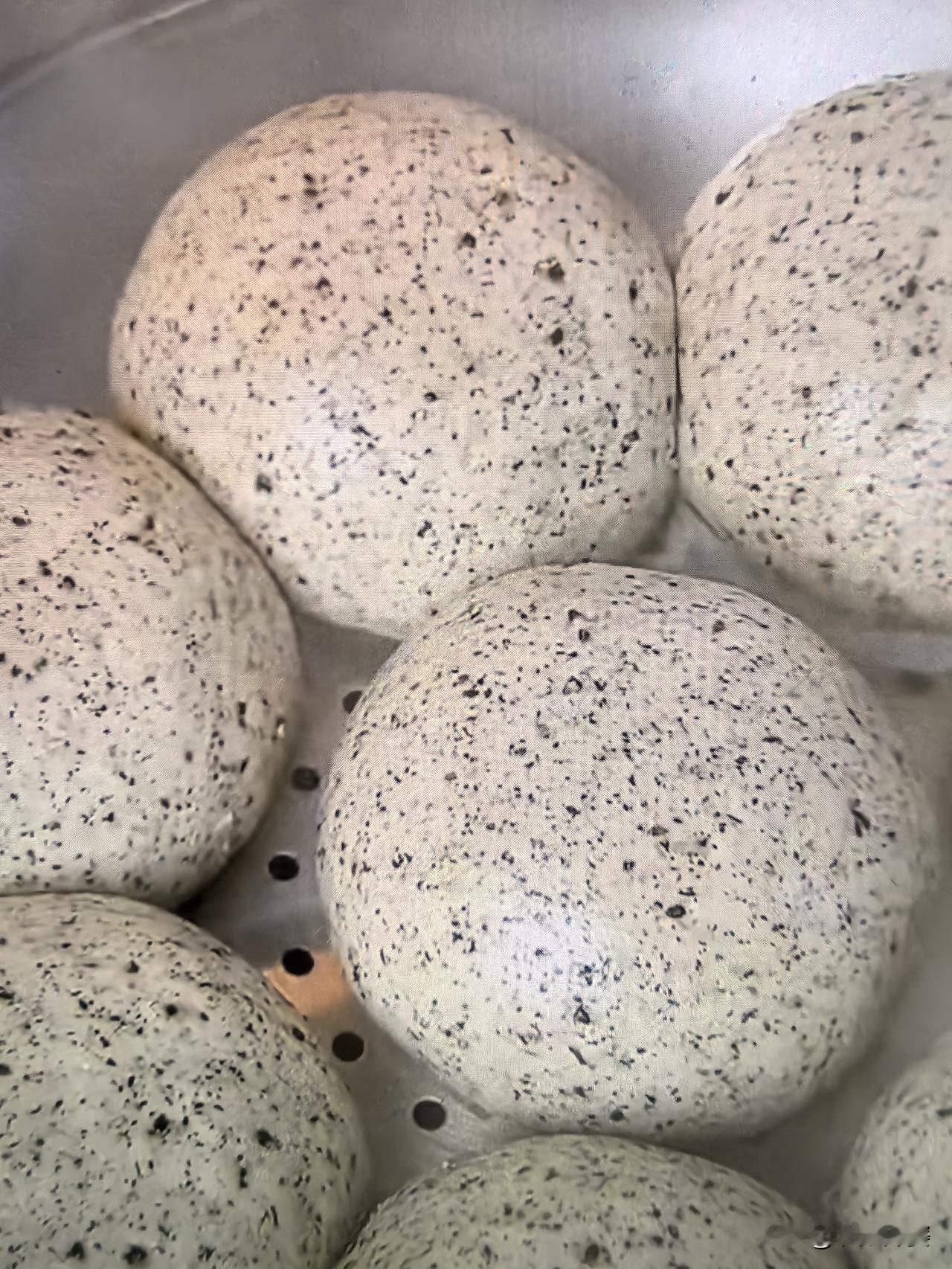 我隔三差五就会蒸点混合面杂粮馒头吃，好吃又营养
 东北人爱吃面食，尤其是爱吃馒头