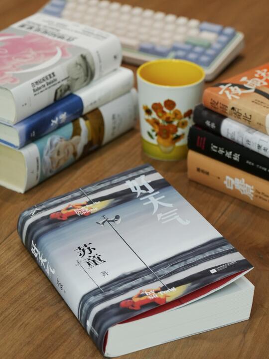 读完苏童新书，对这一代作家不抱期望了