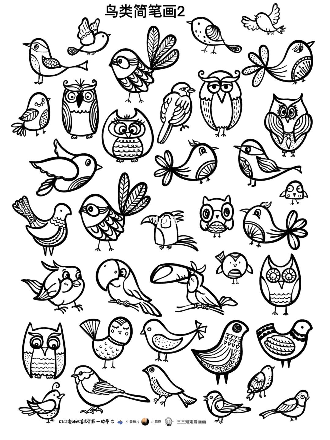 鸟类简笔画2