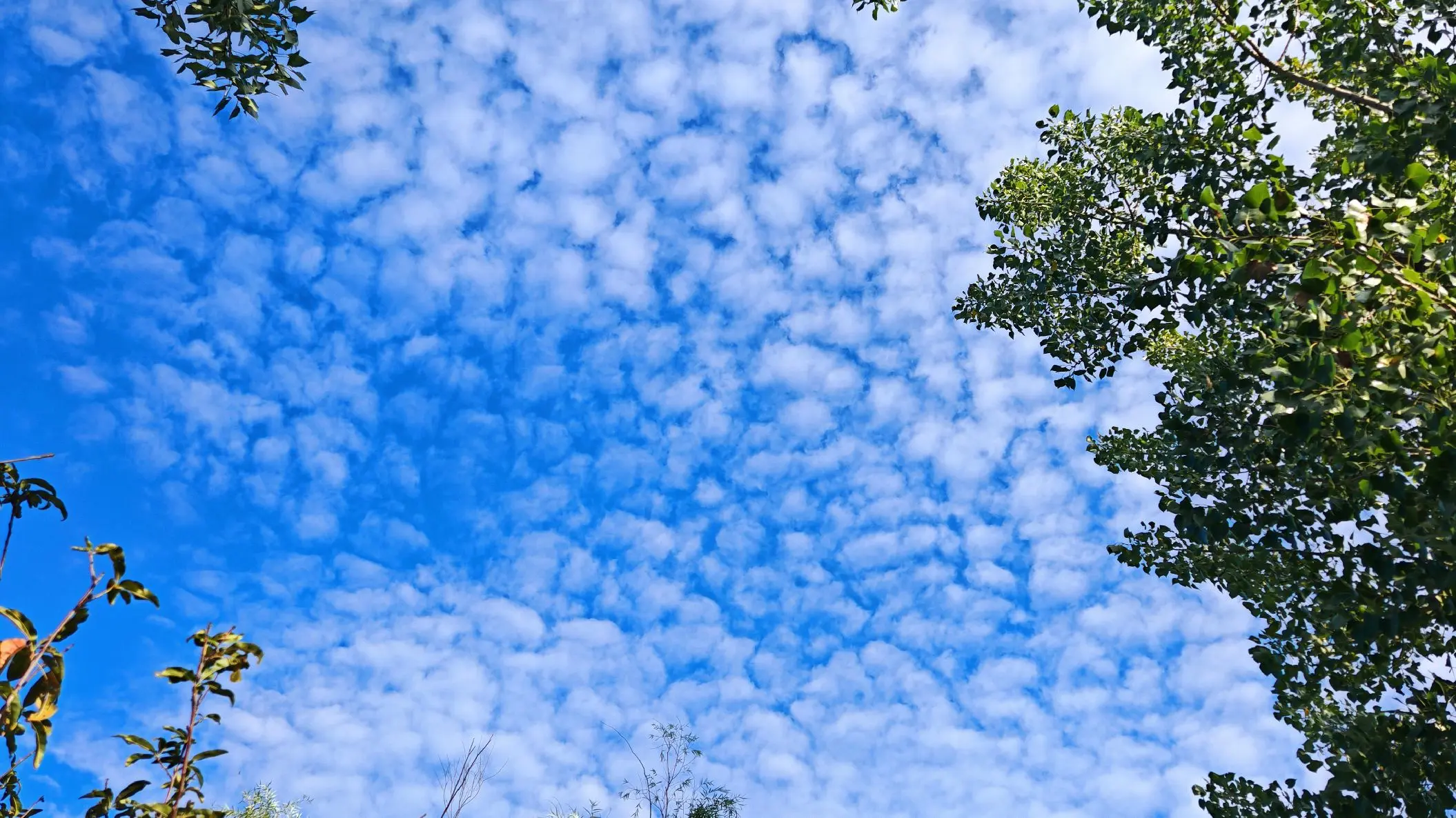 许巍的歌，开头是灵魂＃天空   ＃许巍