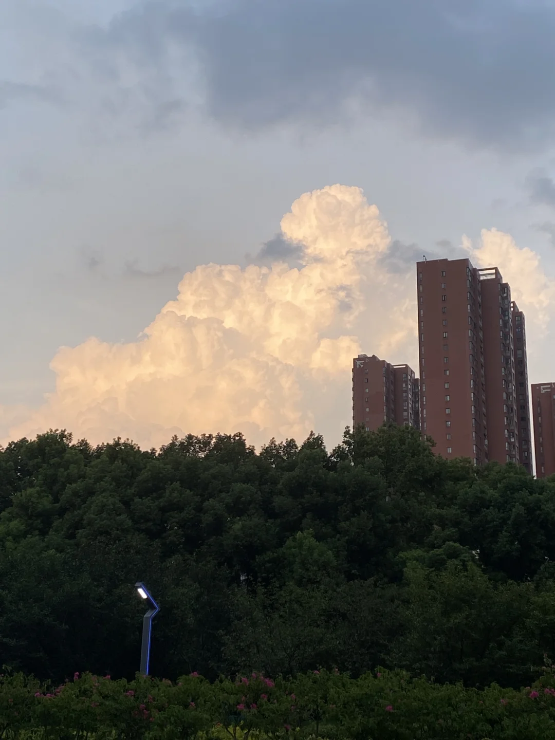 雨前的云霞🌀～☁️