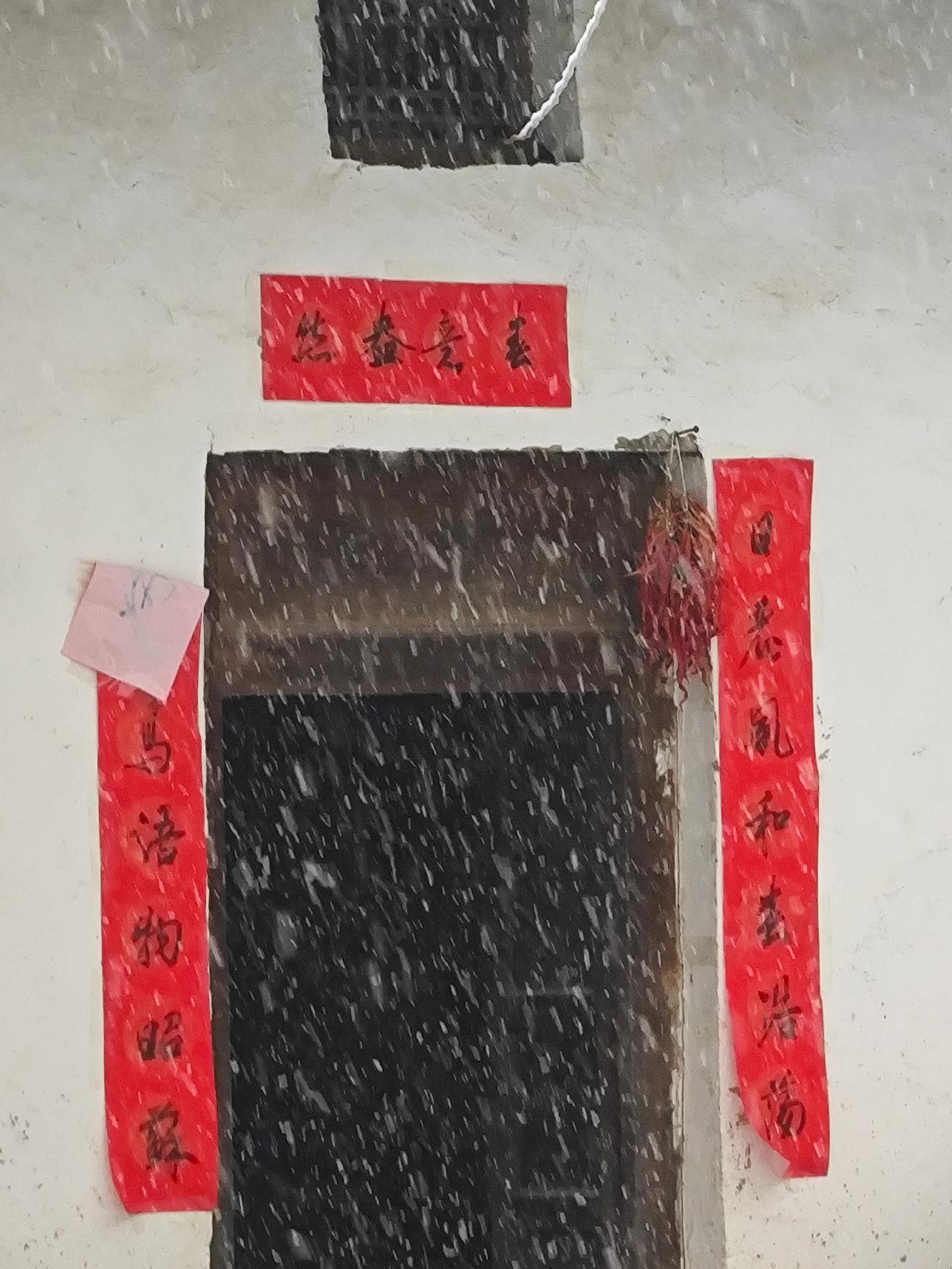 下雪了雪景美如画