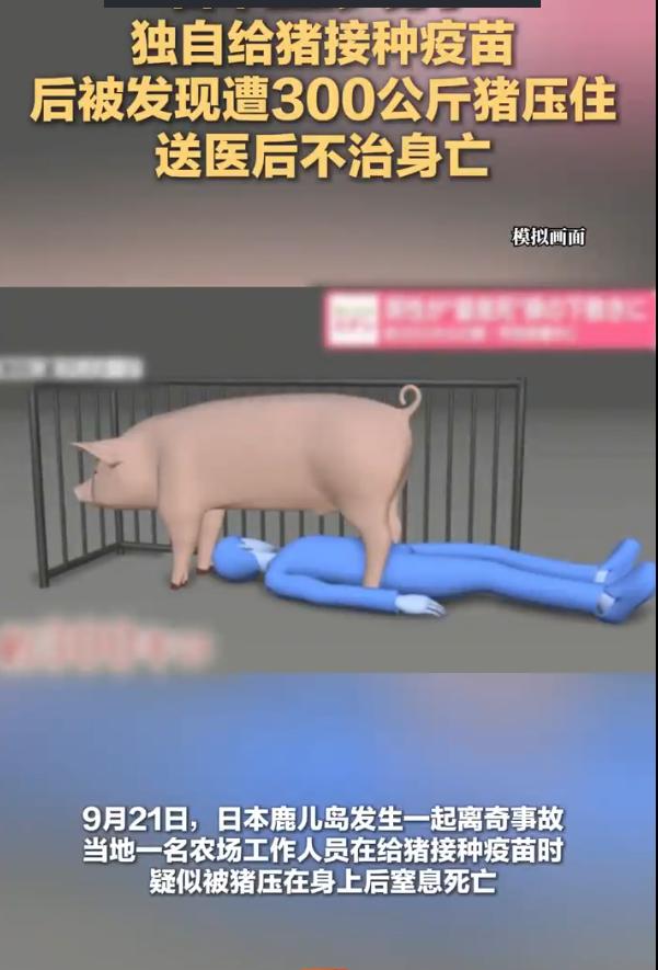 “最担心的事情还是发生了！”一22岁农场员工独自在猪舍给猪接种疫苗时，被发现遭一