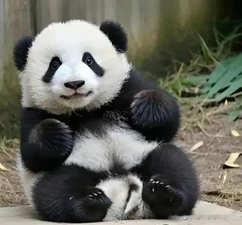 #上联清清楚楚看清楚，期待你的下联#
上联一清清楚楚看清楚
下联一糊糊涂涂装糊涂