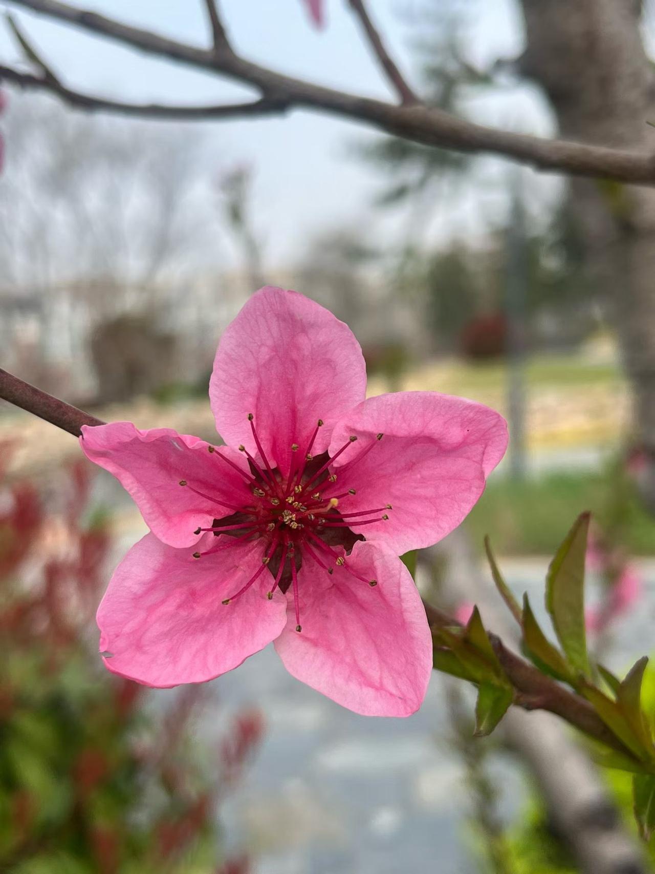 表姐的儿子结婚，过程简单的让我不敢相信。

家里亲戚一共坐了5桌，都是我们这些七