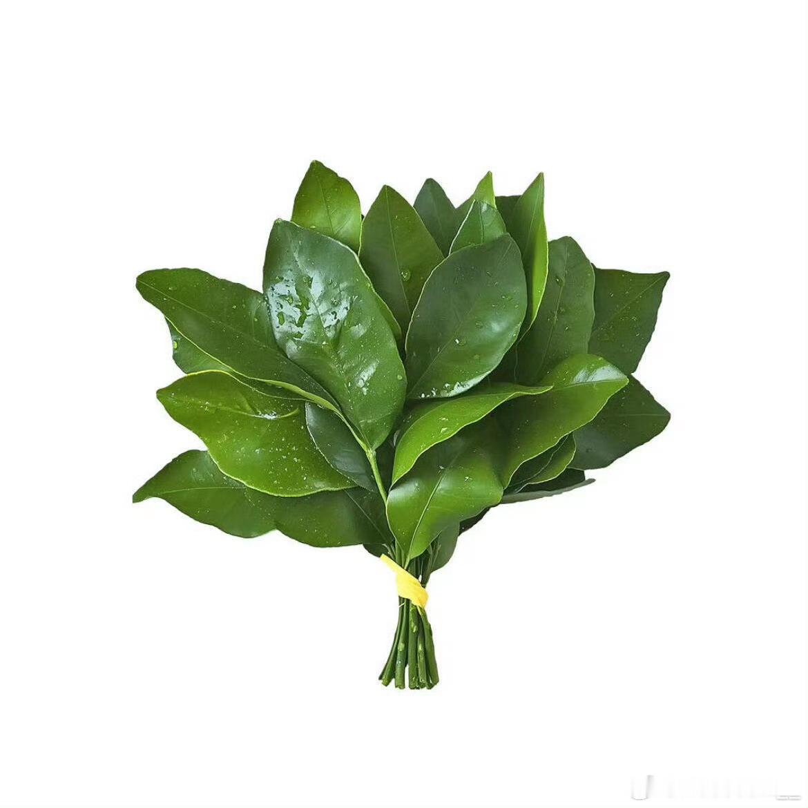 大家好，我是XX学院XX专业的XXX，现就读于X年级。性格开朗外向，具备良好的沟