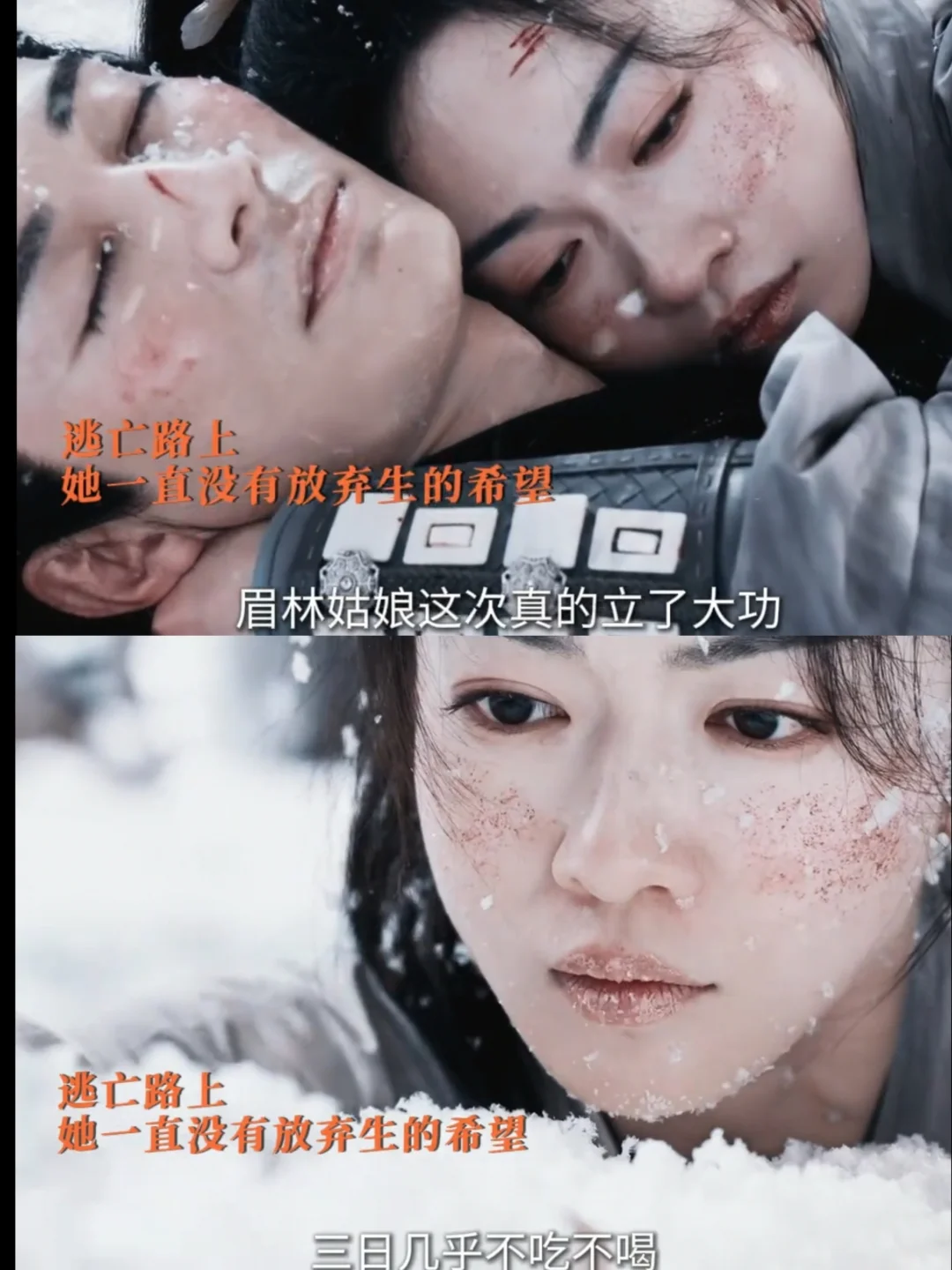 眉林三天不吃不喝守护慕容璟和，终得救