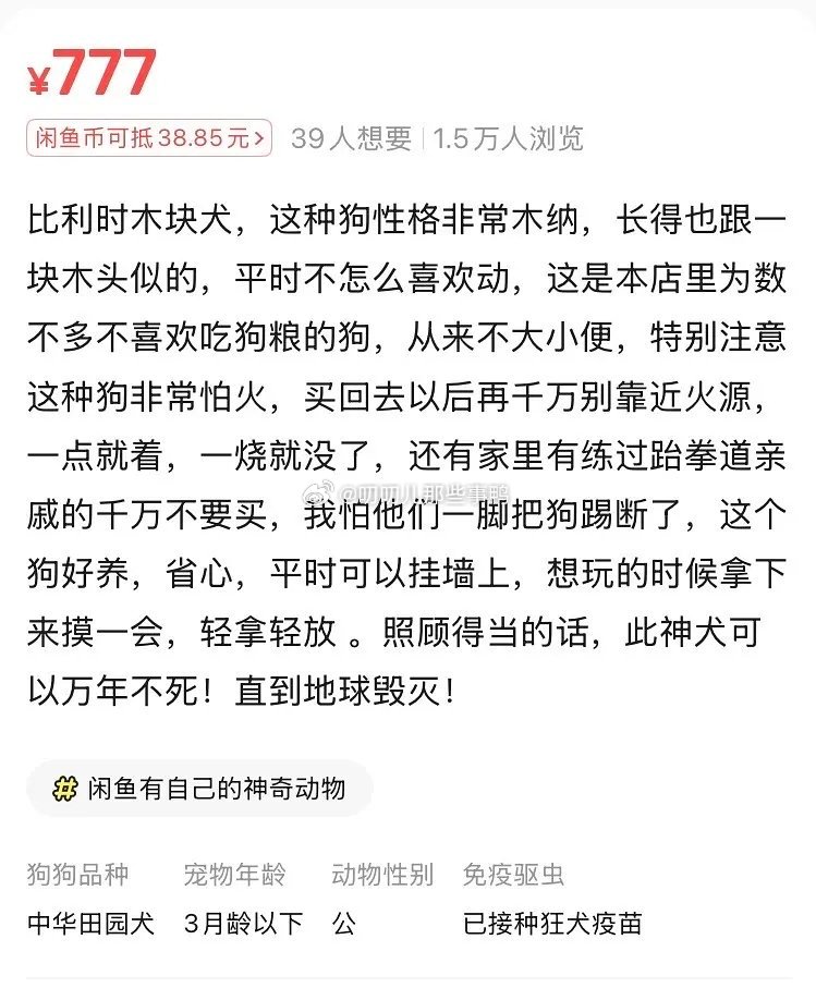 某鱼上领养小狗🐶真的很乖🤣🤣 ​​​